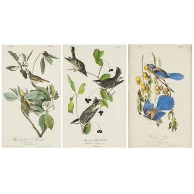 three-lithographs-after-john-james-audubon
