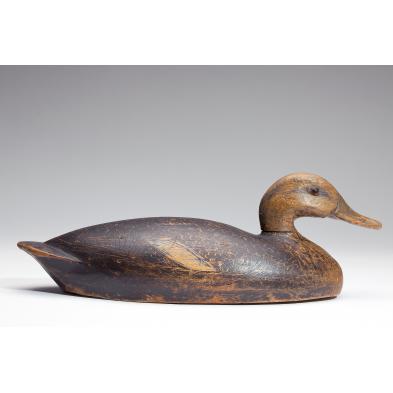 blackduck