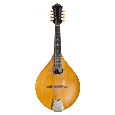 vintage-lyon-healy-style-c-mandolin