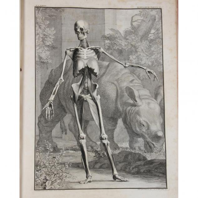 first-edition-of-albinus-and-wandelaar-anatomy