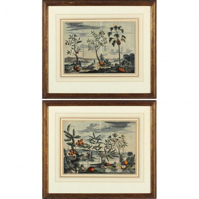 pair-of-18th-century-continental-botanicals