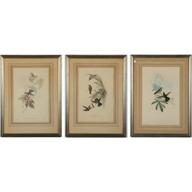 after-gould-richter-3-hummingbird-prints
