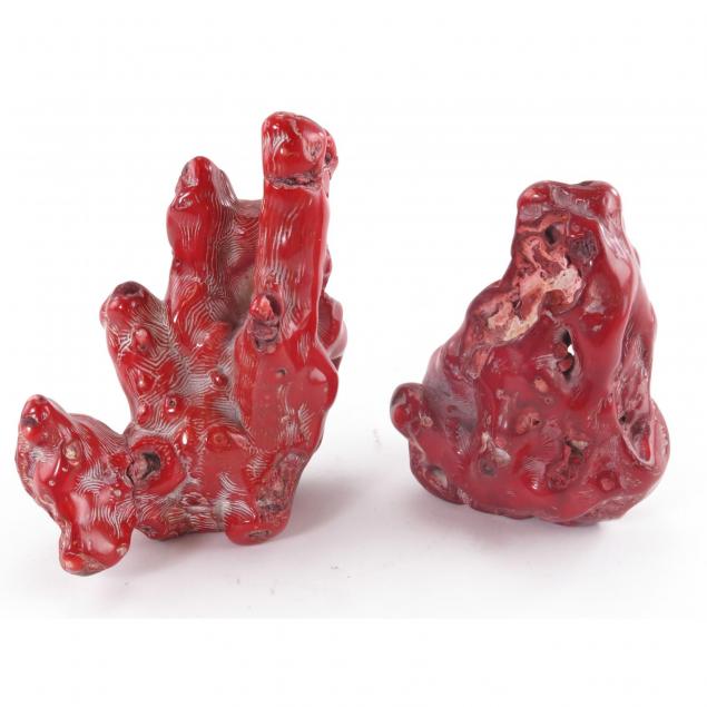 2-pieces-of-polished-coral