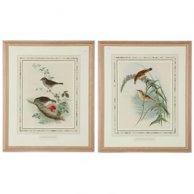two-antique-style-bird-prints