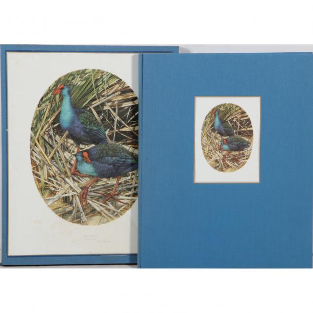 cased-collector-s-book-the-sappi-selection-gail-darroll-birds-of-the-veld-vlei