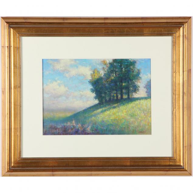 gerard-erley-sc-sunny-hillside