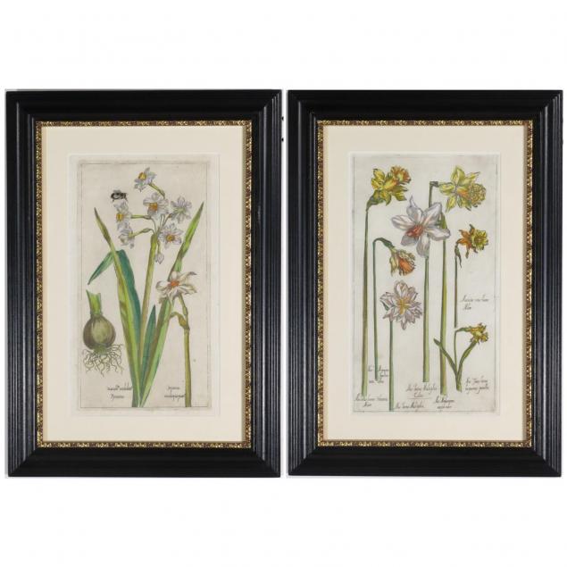 pair-of-early-handcolored-botanical-etchings