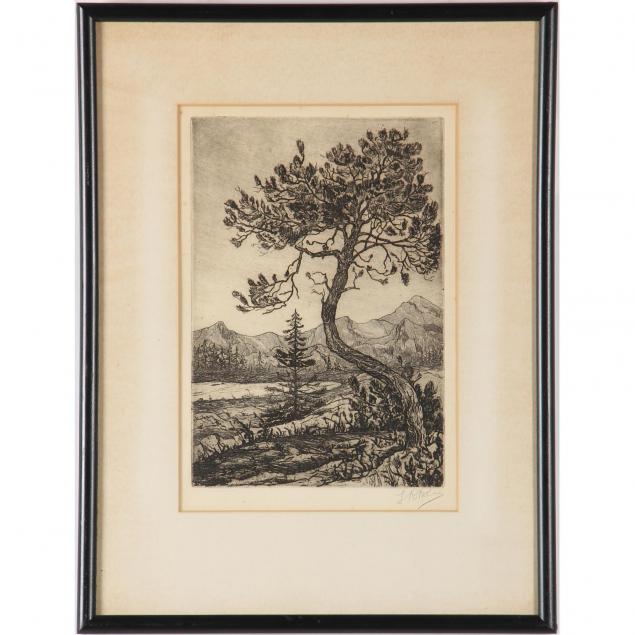 etching-of-a-tree