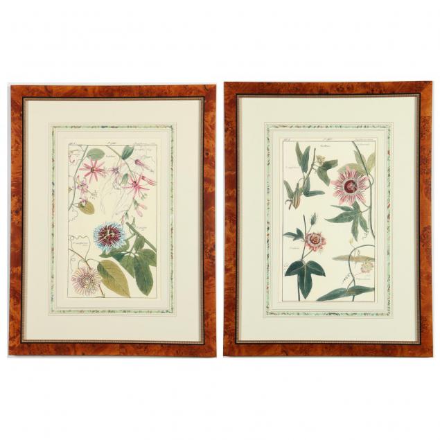 pair-of-handcolored-botanical-prints-of-passion-flowers