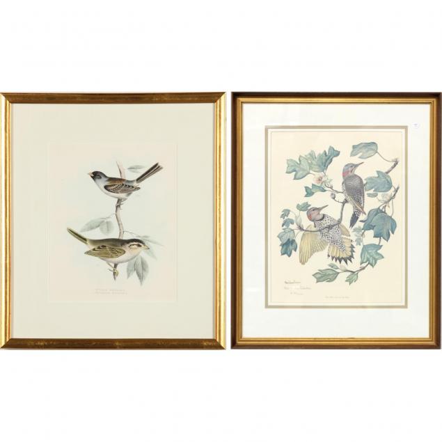 two-decorative-ornithological-prints