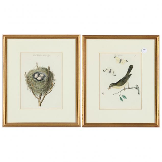 pair-of-handcolored-ornithological-prints
