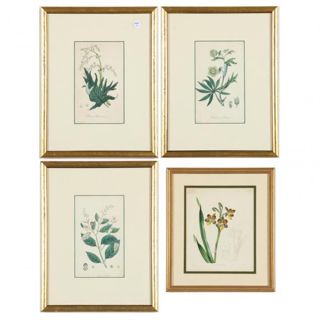four-decorative-botanical-prints