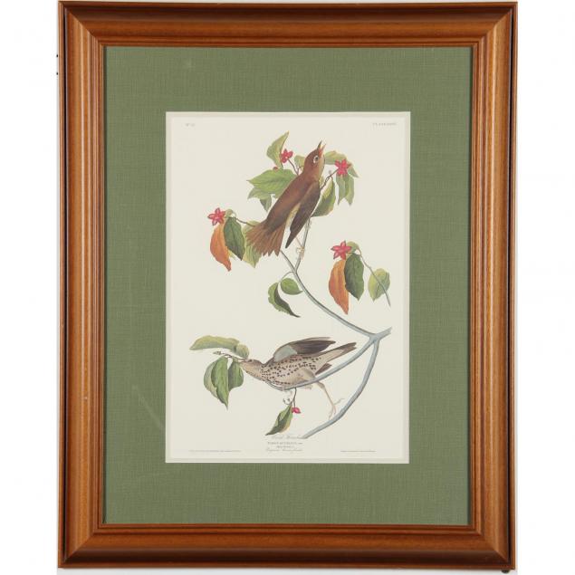 decorative-ornithological-print-after-audubon