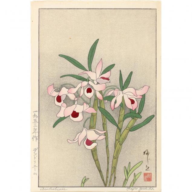 fujio-yoshida-japan-am-1887-1987-dendrobium