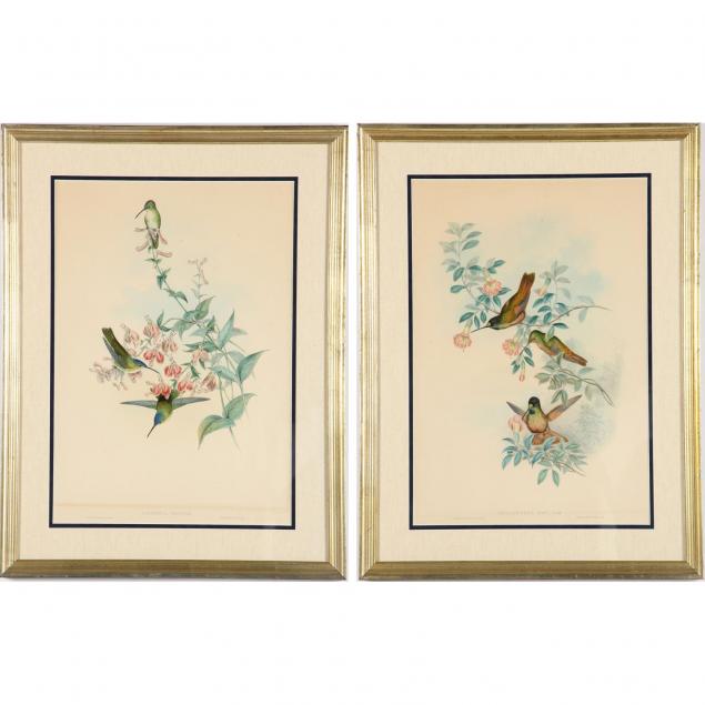 two-gould-richter-ornithological-prints