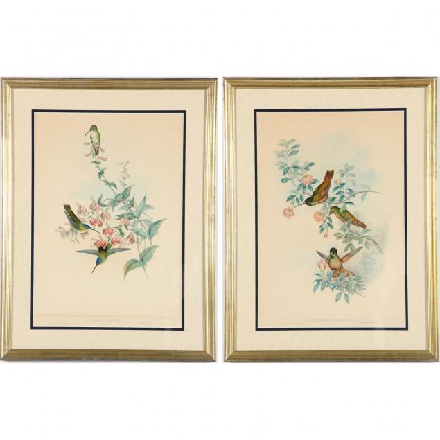 two-gould-richter-ornithological-prints