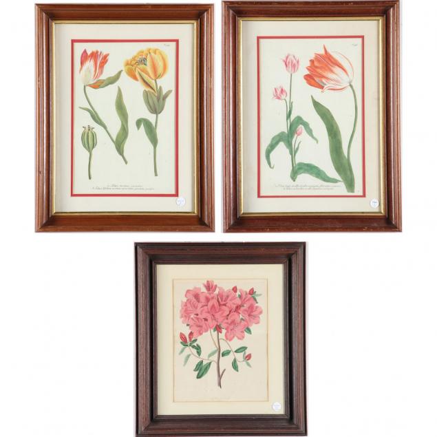 three-botanical-prints