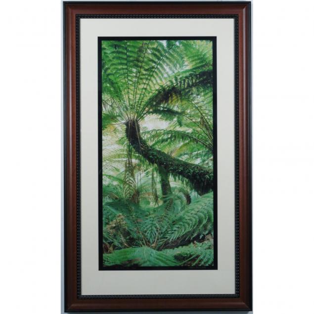 nicholas-rains-australian-20th-century-tree-fern-vic