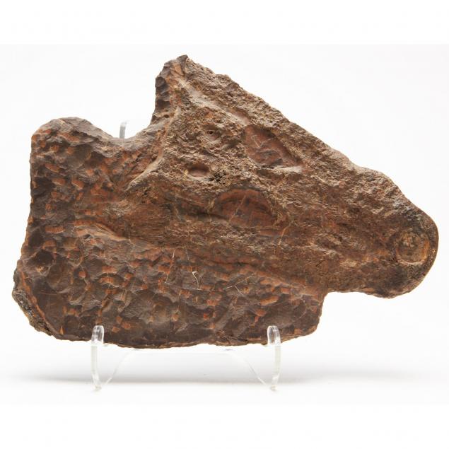 fossil-crocodile-skull