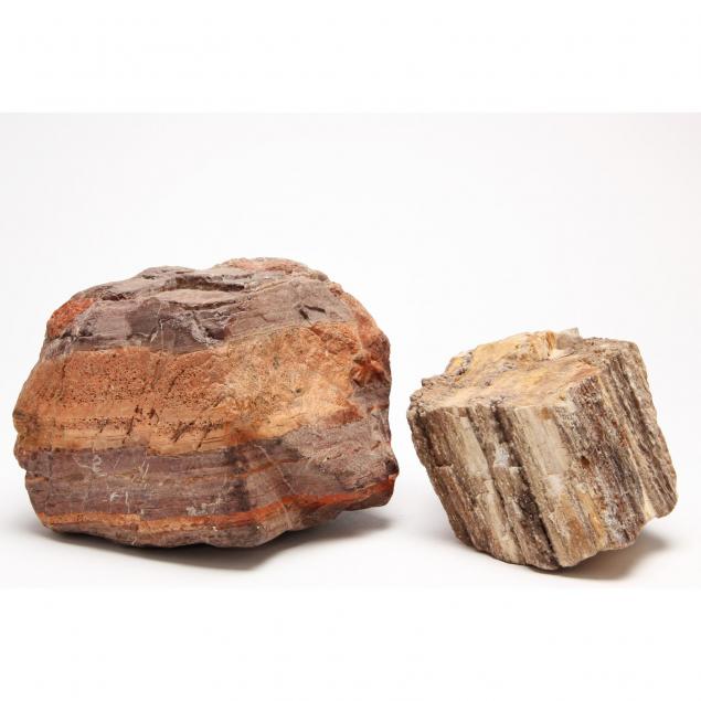 two-large-pieces-of-petrified-wood