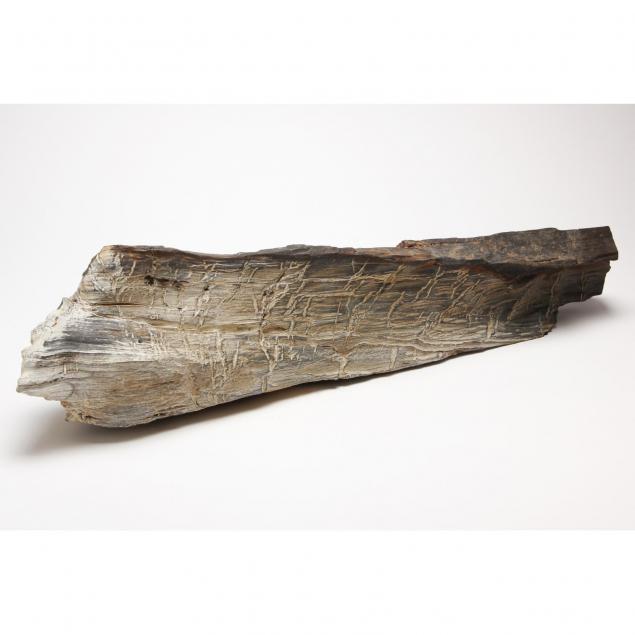 large-north-carolina-petrified-wood-log-fragment