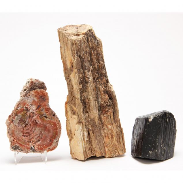 petrified-wood-and-coal-crystal