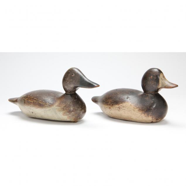 pair-of-decoys