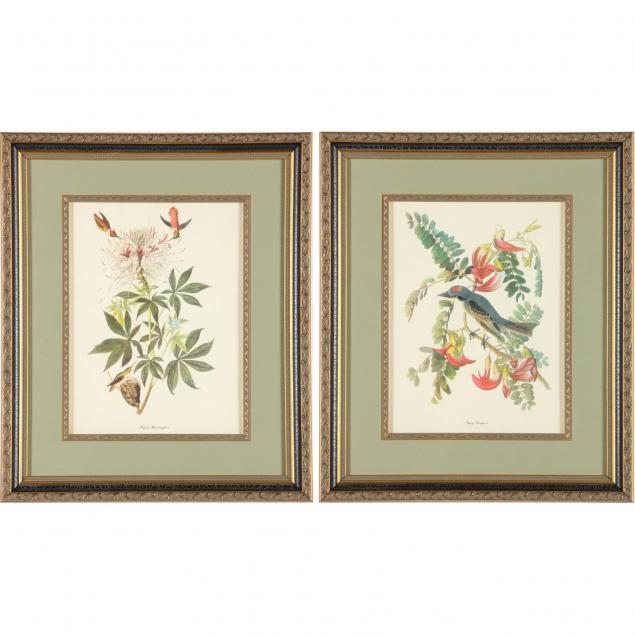 pair-of-decorative-avian-botanical-prints