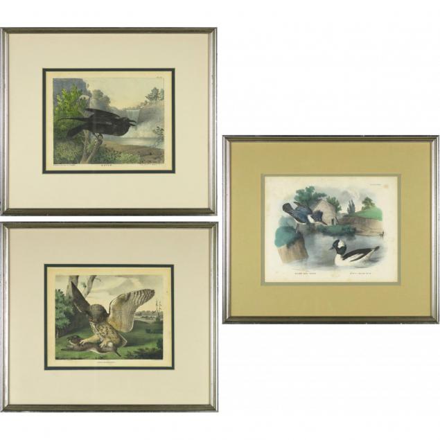 three-ornithological-prints