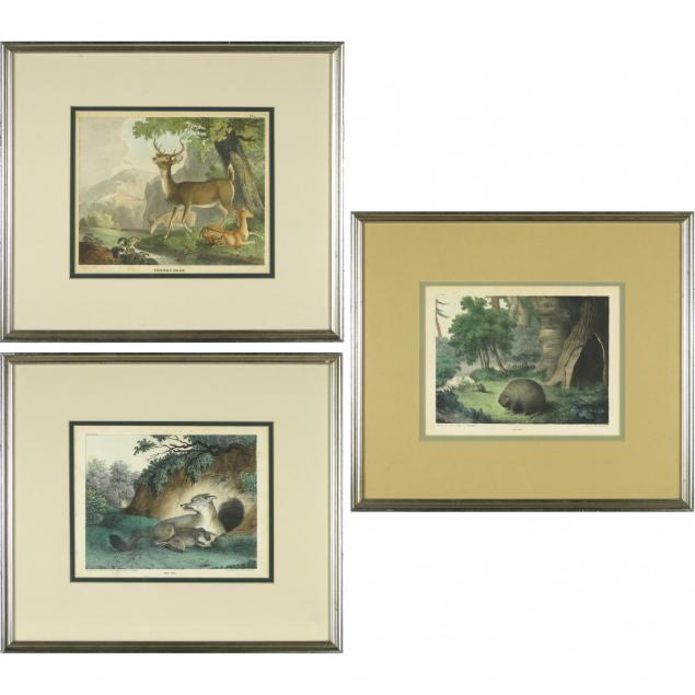 three-zoological-prints