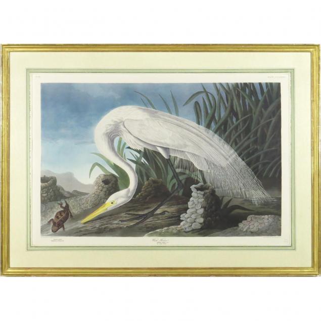 framed-print-after-audubon-white-heron