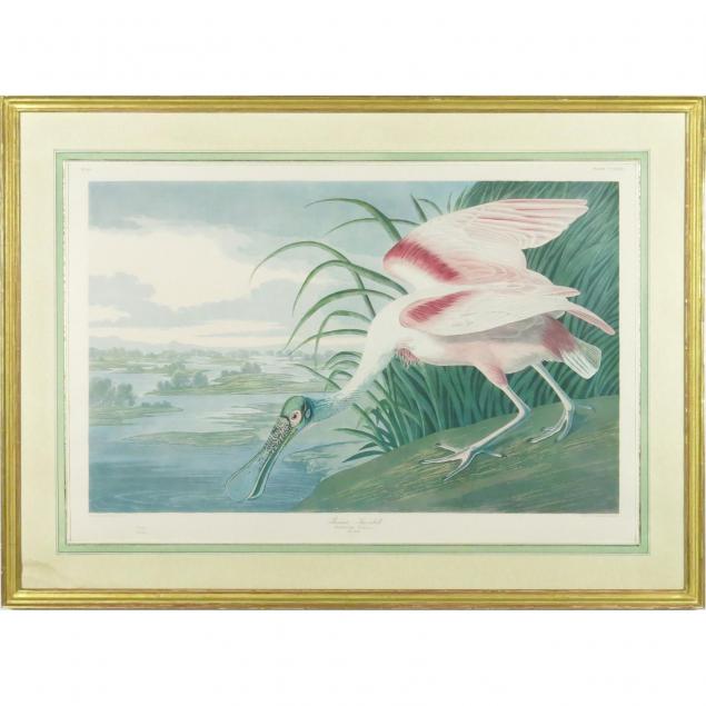 framed-print-after-audubon-roseate-spoonbill
