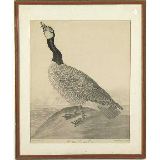 framed-reproduction-of-audubon-s-hutchins-s-barnacle-goose