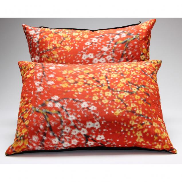 a-pair-of-contemporary-throw-pillows