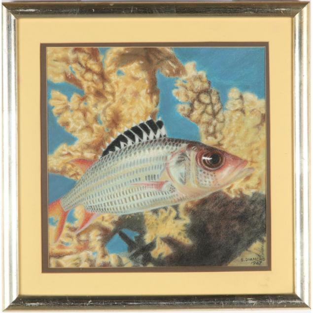 stuart-diamond-ny-b-1942-tropical-fish