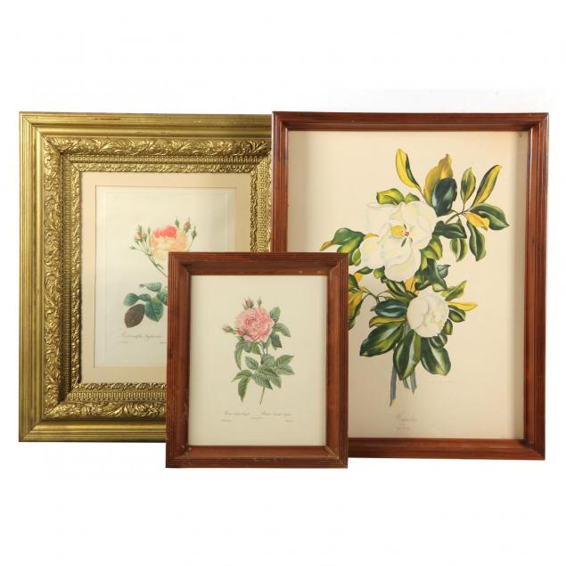 three-framed-botanical-prints