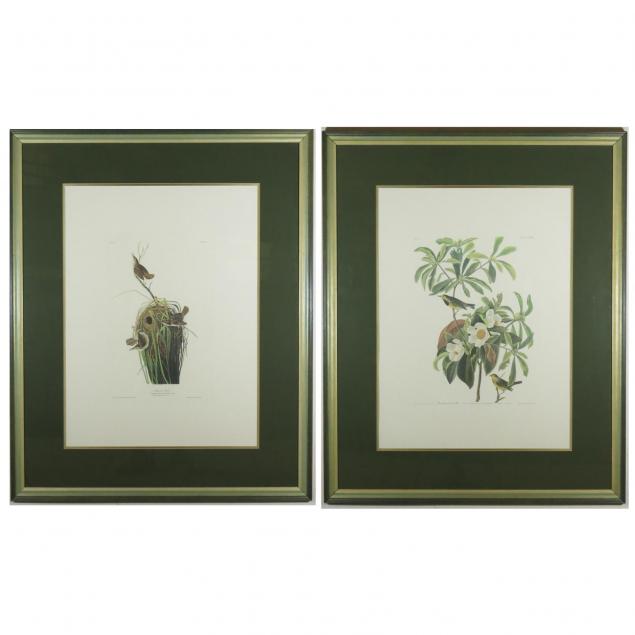 two-framed-lithographs-after-audubon
