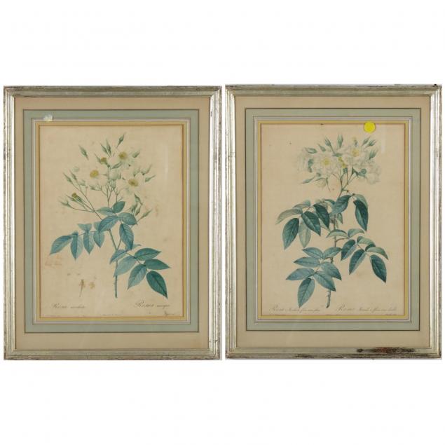 pair-of-botanical-lithographs-after-redoute