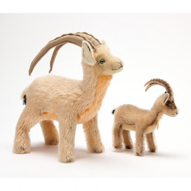 two-steiff-goats-rocky