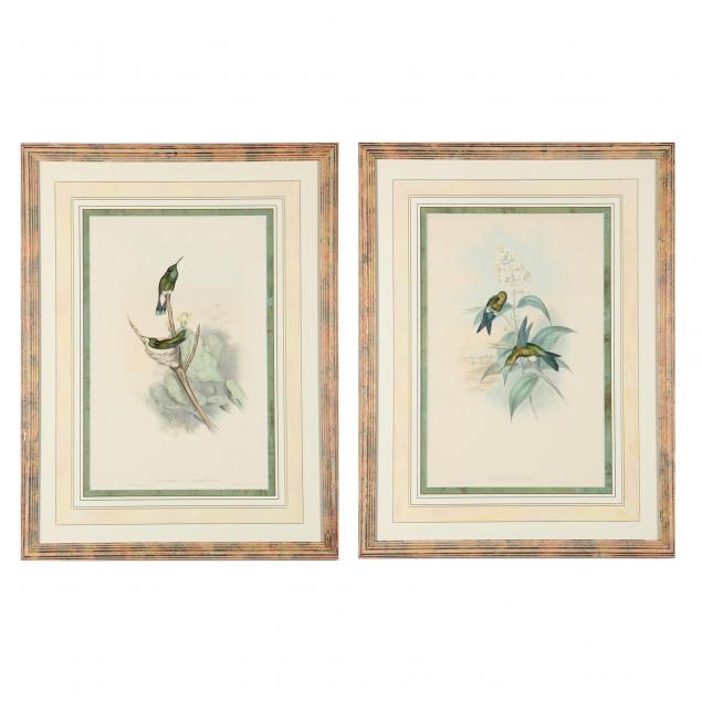 after-gould-and-richter-pair-of-hummingbird-prints