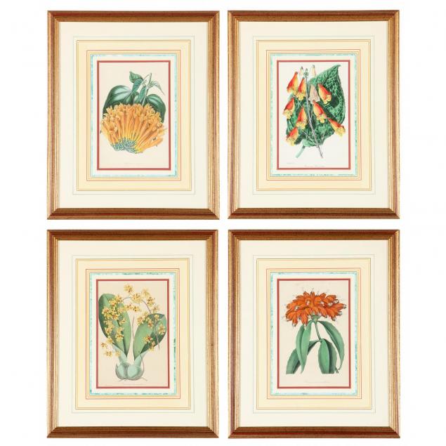 four-decorative-botanical-prints