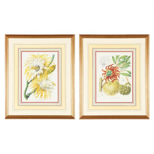 pair-of-decorative-botanical-prints