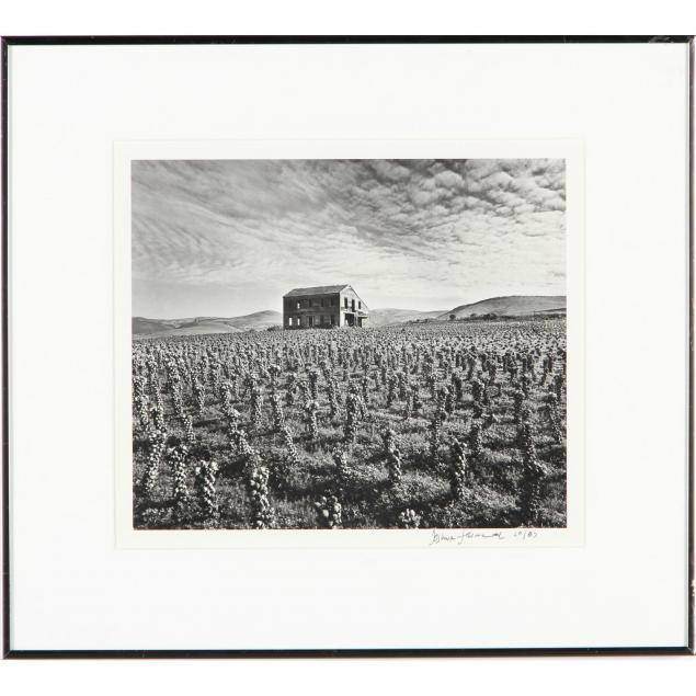 brussel-sprout-farm-art-photograph