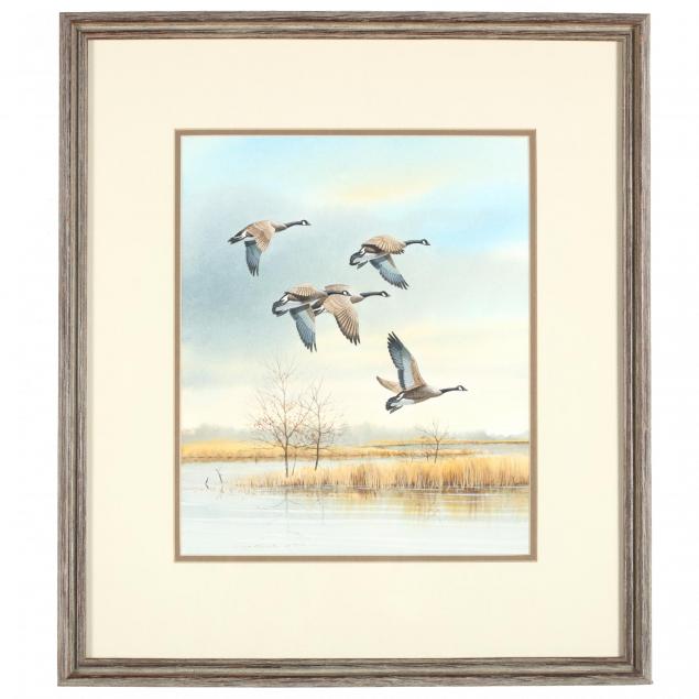 george-shumate-va-geese-in-flight