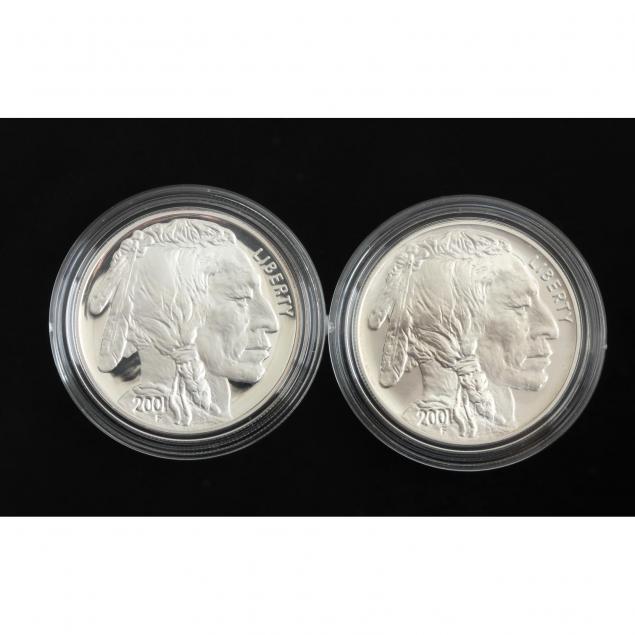 2001-silver-american-buffalo-commemorative-two-coin-set