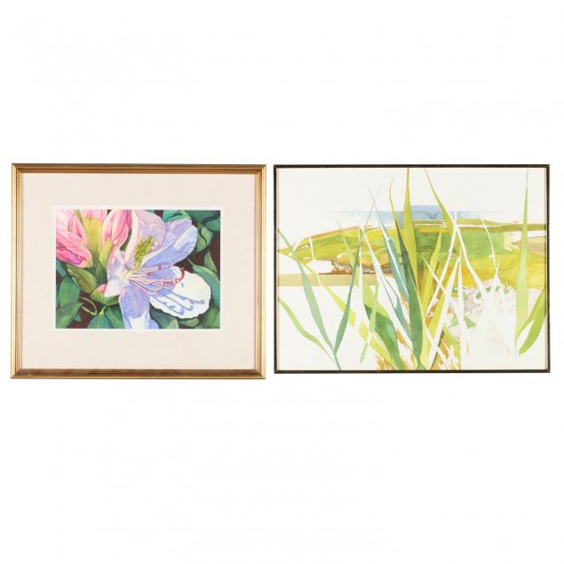 two-20th-century-nature-watercolors-joan-jamieson-and-leonard-sawyer