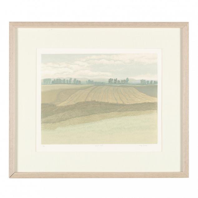 jocelyn-sandor-am-i-wheat-fields-i