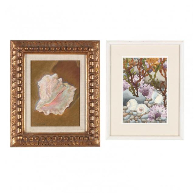 two-still-lifes-with-shells-norma-rogers-and-wendy-turner