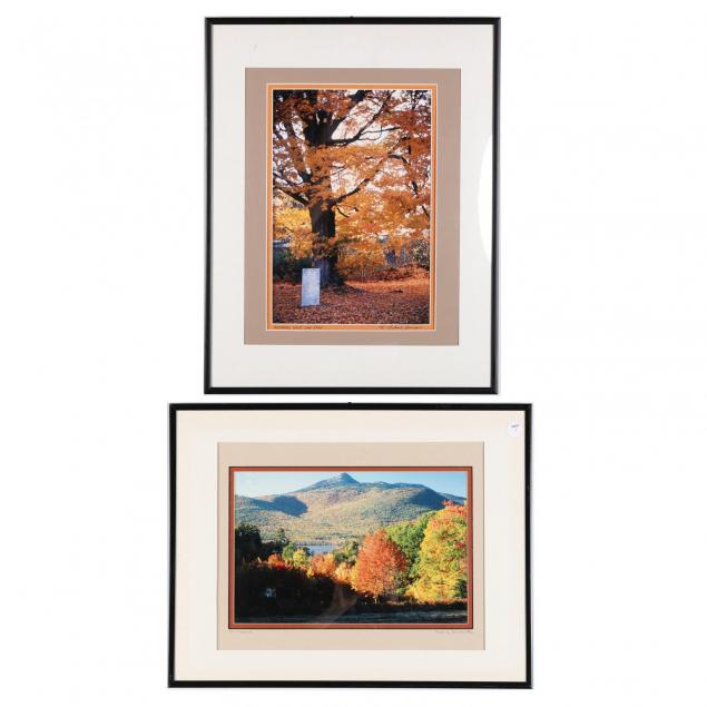 pair-of-20th-century-autumnal-photographs