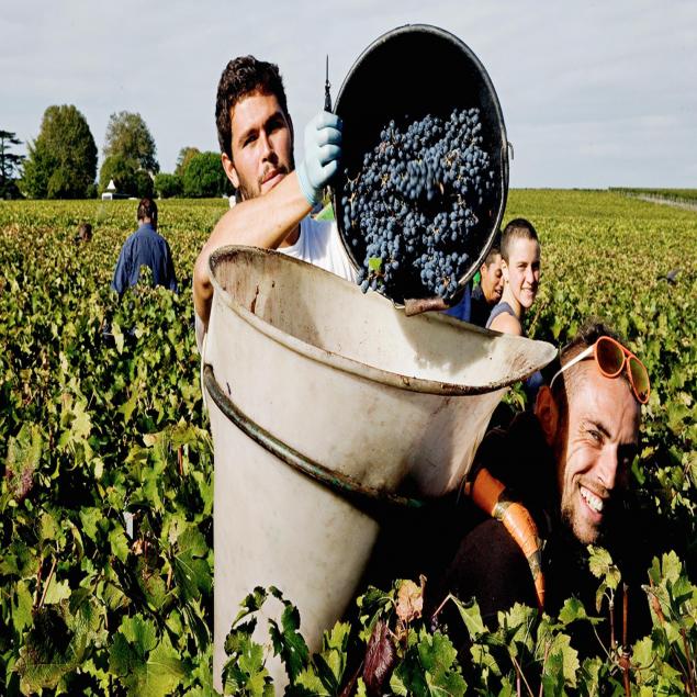 celani-family-vineyards-vintage-2006